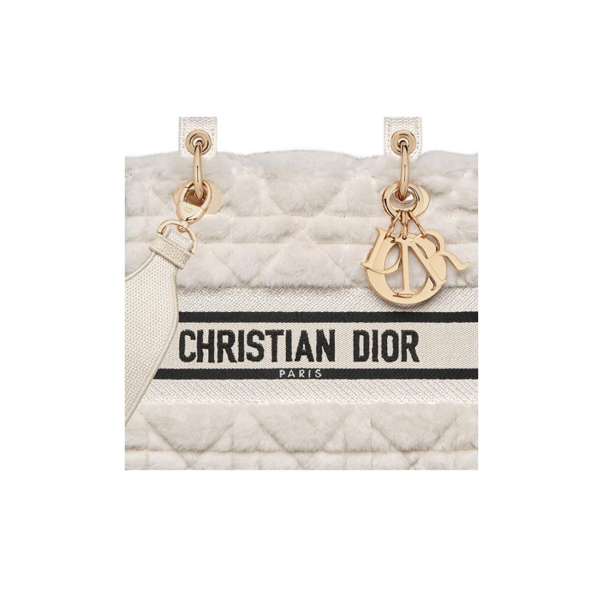 Dior Medium Lady D-Lite Bag “Winter”